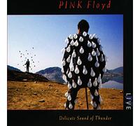 PINK FLOYD DELICATE SOUND OF THUNDER 2CD