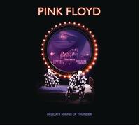 Pink Floyd – Delicate Sound Of Thunder – CD