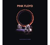 Pink Floyd Delicate Sound Of Thunder Deluxe (CD)