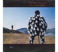 Pink Floyd - Delicate Sound Of Thunder - EMI - 198-7 91480 1
