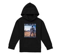 Pink Floyd Delicate Sound Of Thunder Felpa con Cappuccio Bambini (TV23126)