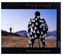 Pink Floyd - Delicate Sound Of Thunder-Live (2 CD)