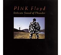 Delicate Sound of Thunder