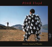 Pink Floyd Delicate Sound Of Thunder (Live) (CD)