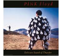 PINK FLOYD (DELICATE SOUND OF THUNDER) NUOVO