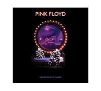Pink Floyd - Delicate Sound of Thunder Vinile