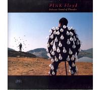 Pink Floyd - Delicate sound of thunder [VINYL]