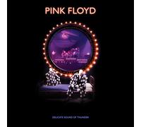 Pink Floyd DELICATE SOUND OF THUNDER (Vinyl LP)