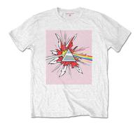 Pink Floyd Lichtenstein Prism T Shirt Size XL