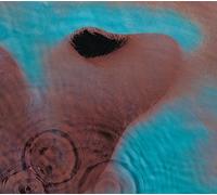 Pink Floyd Meddle (Vinyl LP)