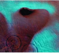 Pink Floyd Meddle (CD)