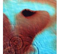 Pink Floyd Meddle (Vinyl LP)