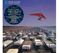Pink Floyd A Momentary Lapse of Reason: Remixed & Updated (Vinyl LP) 12" Album