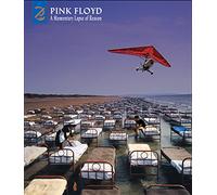 Pink Floyd A Momentary Lapse Of Reason: Remixed & Updated [Deluxe (CD)