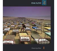 Pink Floyd Momentary Lapse Of Reason (Vinyl LP) 12" Album (PRESALE 27/06/2025)