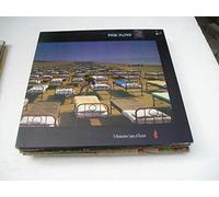 Pink Floyd - Momentary Lapse Of Reason (2 LP)