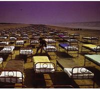 Pink Floyd - Momentary Lapse of Reason