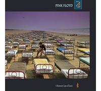 Pink Floyd Momentary Lapse Of Reason (Vinyl LP) 12" Album (PRESALE 27/06/2025)