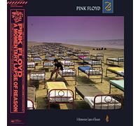Pink Floyd - Momentary Lapse Of Reason