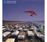 Pink Floyd A Momentary Lapse of Reason: Remixed & Updated (Vinyl LP) 12" Album