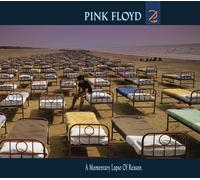 Pink Floyd Momentary Lapse Of Reason (CD) Album