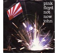 PINK FLOYD - not now john 45 rpm single