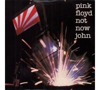 Pink Floyd - Not Now John - P/S