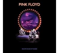 Pink Floyd - Pink Floyd - Delicate Sound Of Thunder Restored, Re Remixed