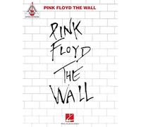 Pink Floyd - The Wall. Chitarra solo.