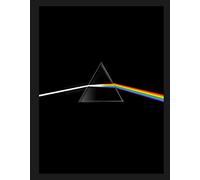 Pink Floyd. Their mortal remains. Ediz. a colori