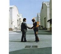 Pink Floyd Wish You Were Here Album Copertina Musica Decor 20 x 10 Stampa fotografica