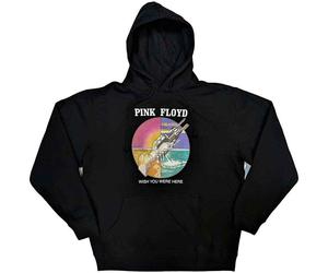 Pink Floyd WYWH Circle Icons ufficiale Felpa con Cappuccio