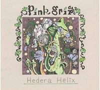 Pink Grip - Hedera Helix