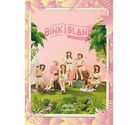 Pink Island: April 2nd Concert 2015