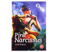 Pink Narcissus [1971] [DVD] [Edizione: Regno Unito]