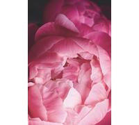 Pink Peony Flowers Journal: Hardcover, 6 x 9 Inches, 180 Pages, Lined Notebook, Matte Finish. Pretty Florals and Wedding Planning Journals