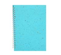 Pink Pig A4 Posh Lined Banana Notebook - Sky