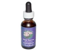 Pink Yarrow Pipetta 1 Oz Di Flower Essence Services