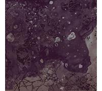 Pinkish Black - Razed To The Ground