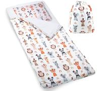 PinkZebra Sacco nanna per bambini 140 x 75 cm + federa 60 x 40 cm e sacchetto, per interni per asilo, sacco a pelo (fino a 135 cm di misura per bambini), Öko-Tex, ritratti di animali