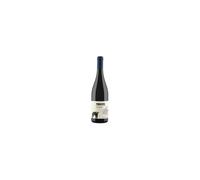 Pino di Stio Pinot Nero IGP 2017 San Salvatore