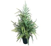 Pino Norfolk Artificiale da Tavolo, Albero di Natale Finto da 60 CM in Vaso, Pino Norfolk di Natale, Pino Norfolk Artificiale Decorazione in Vaso