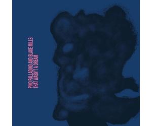 Pino Palladino And Blake Mills - That Wasn't A Dream (CD)