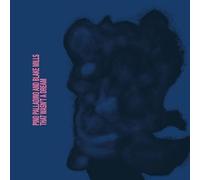 Pino Palladino And Blake Mills - That Wasn't A Dream (LP)