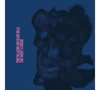 Pino Palladino & Blake Mills That Wasn't a Dream (CD) Album