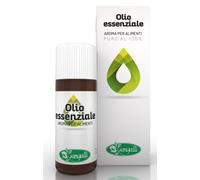 Pino Silvestre Olio essenziale 10ml