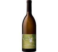 Pinot Bianco 'Carnol' 2024 - Tenuta Hans Rottensteiner