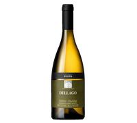 Pinot Bianco Riserva "Passion" DOC 2017 - Cantina S. Paolo