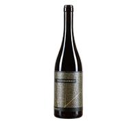 Pinot Bianco 'SassPinot' Bio 2021 - Tenuta Riedingerhof