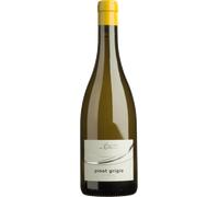 Pinot Grigio 2025 - Cantina Andriano